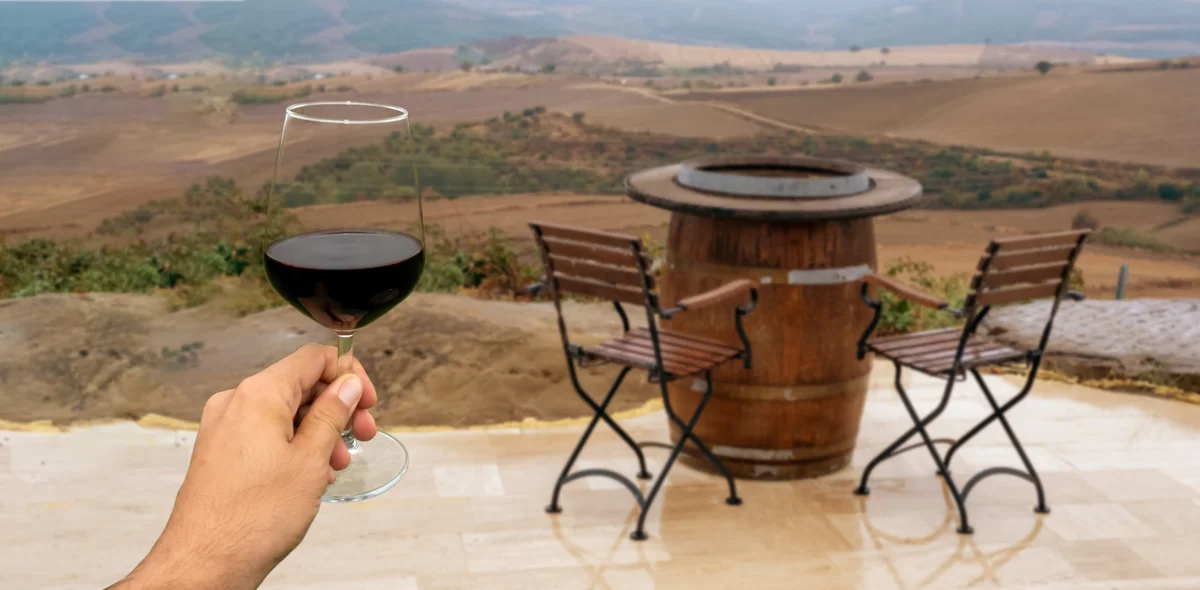 Algarve: Wine Tasting Premium and Visit at Quinta Da Tor (Shared Basis)