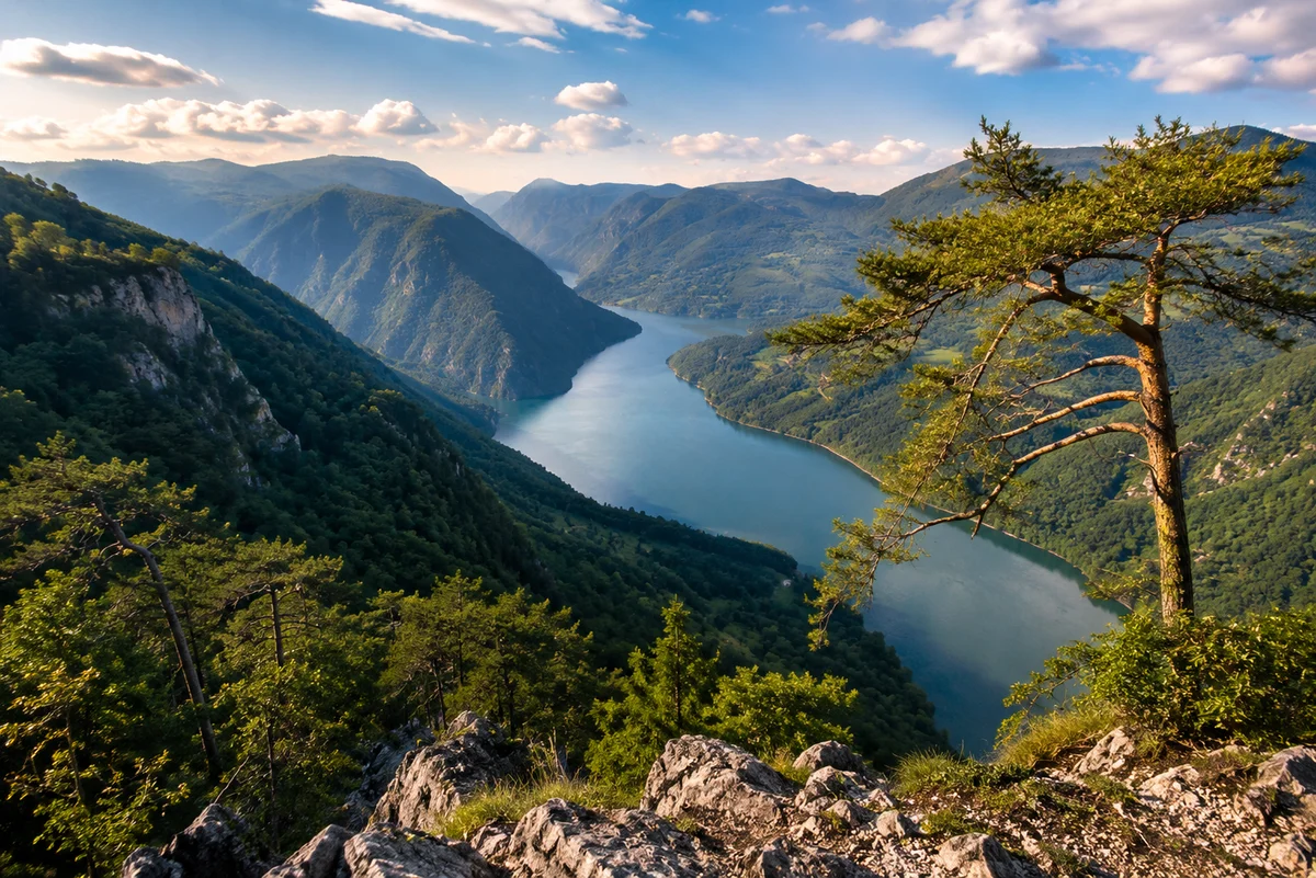 Belgrade: Tara National Park & Drina River Valley Tour (SIC Basis)
