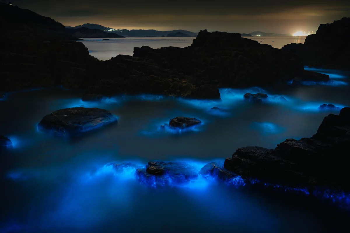 Auckland: Bioluminescence Kayak Tour - Subject to Availability (Shared Basis)