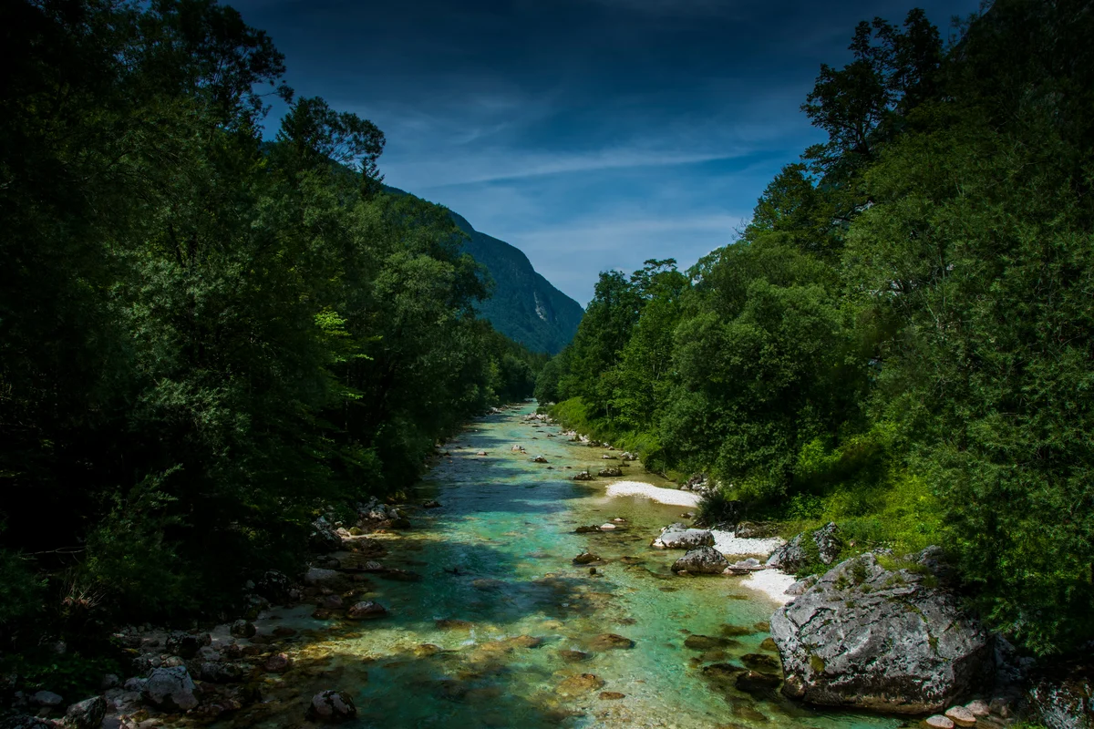 Bled: Soča River Experience (SIC Basis)