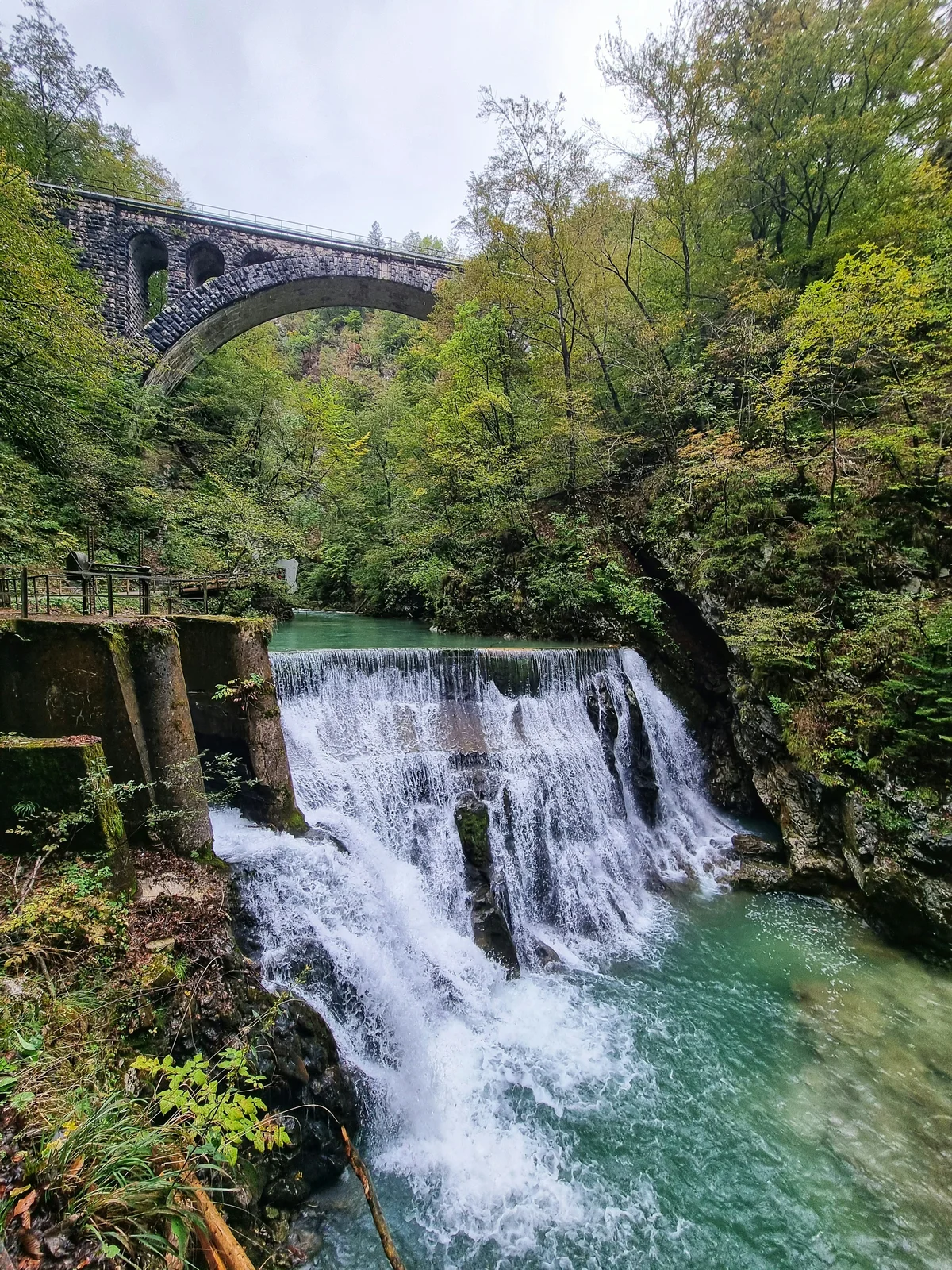 Bled:Vintgar Gorge:Best Self-Guided Experience with Local Tasting (Shared Basis)