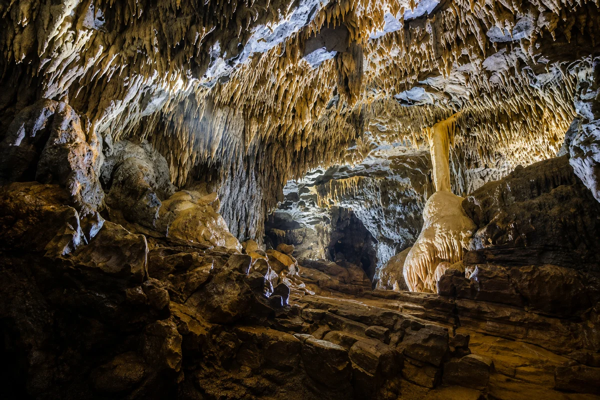 Waitomo: Ruakuri Glowworm Cave Guided Walking Tour (Shared Basis)