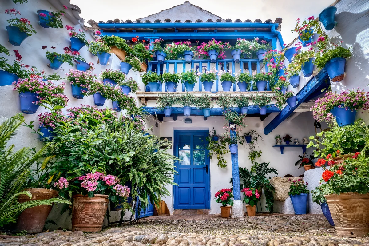 Cordoba's Authentic Patios: 2-Hour Tour (Entrance Ticket)