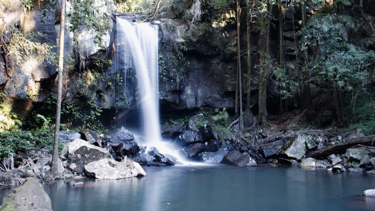 Brisbane: Rainforests, Waterfalls and Glow Worm Cave Tour (SIC Basis)