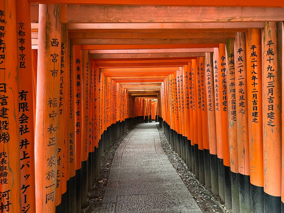 Kyoto: Fushimi Inari Hidden Hiking Tour (Shared Basis)