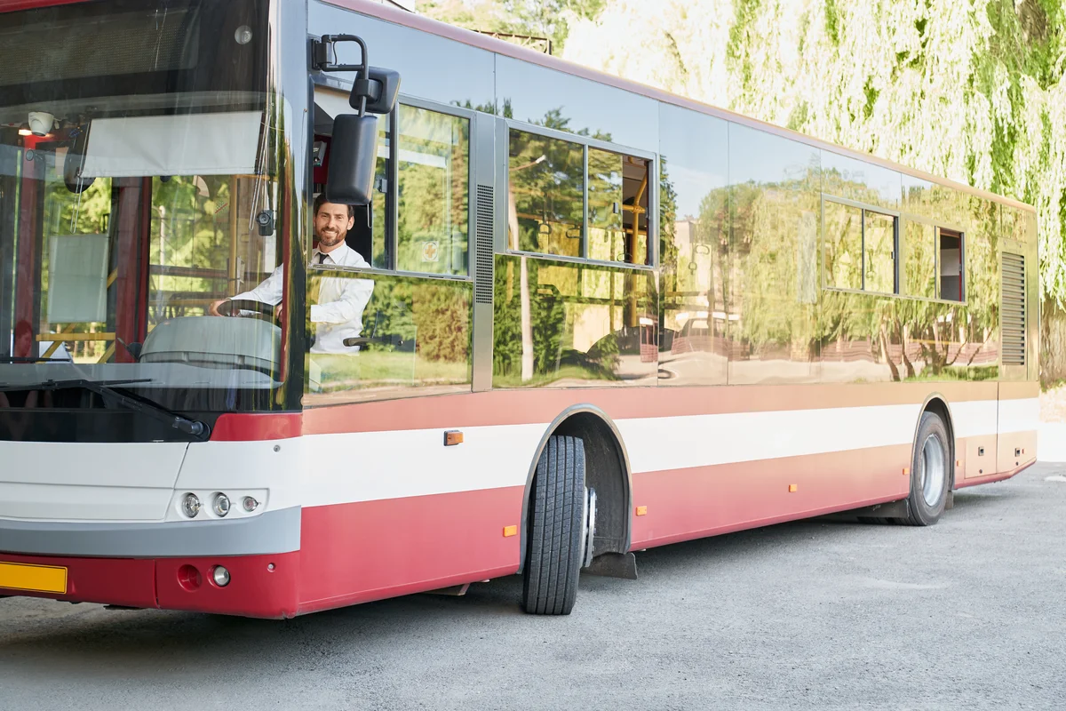 Adelaide: Hop-on & Hop-off Tour (SIC Basis)