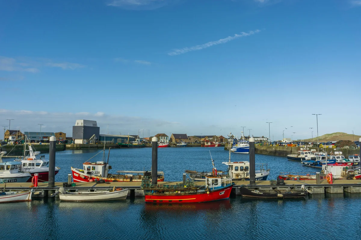 Dublin: Howth Coastal Boat Tour (Shared Basis)