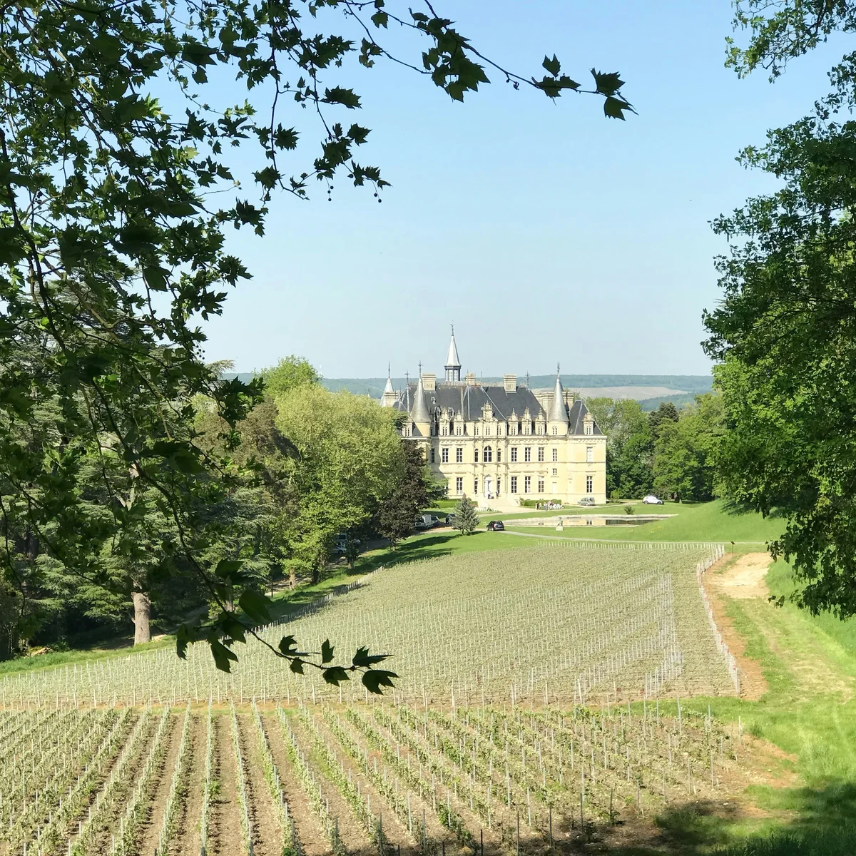 From Tours: Afternoon Loire Valley Wine Tour (SIC Basis)
