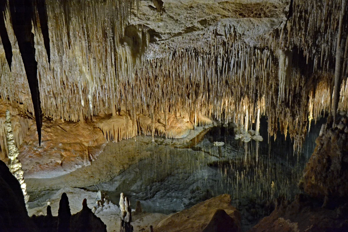 Mallorca: Full Day Tour Caves of Drach and Hams (SIC Basis)