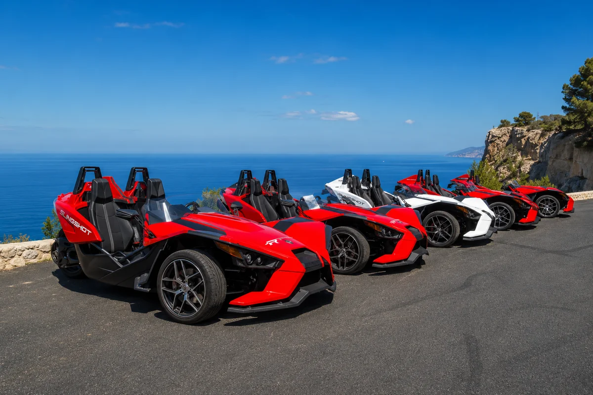 Mallorca: Formula Car Tour (Shared Basis)