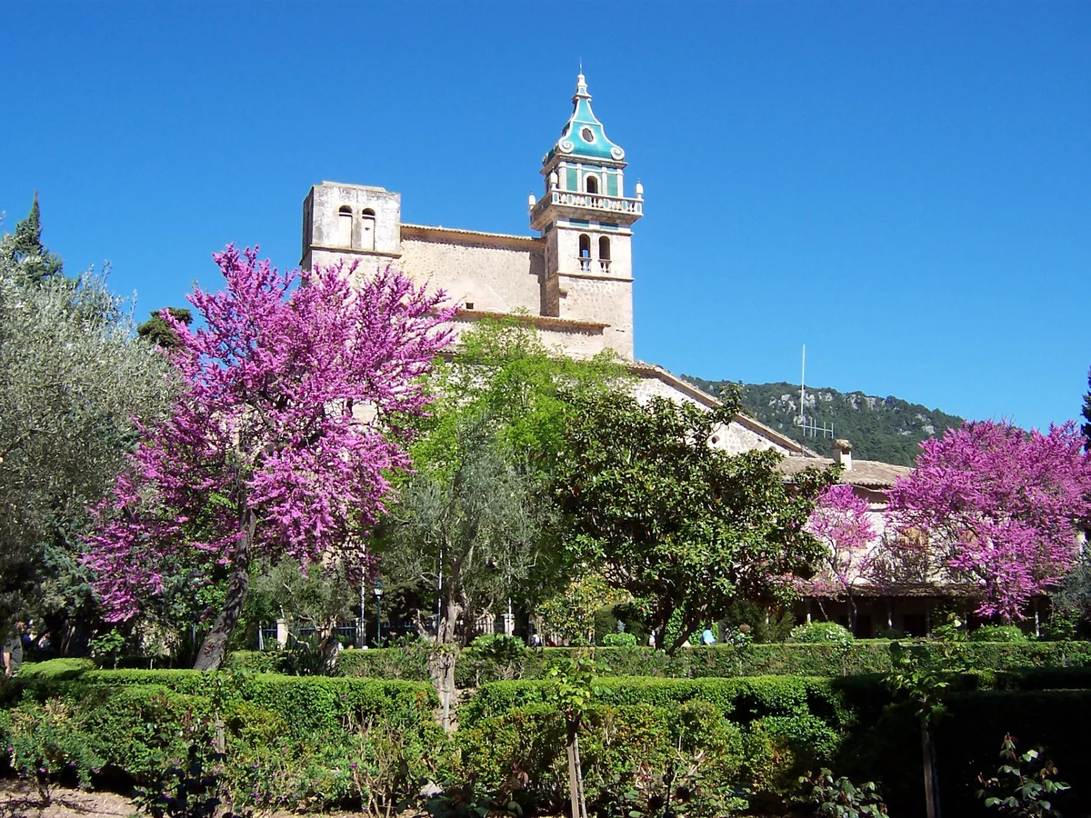 Mallorca: Half-Day Valldemossa & Soller Tour (SIC Basis)