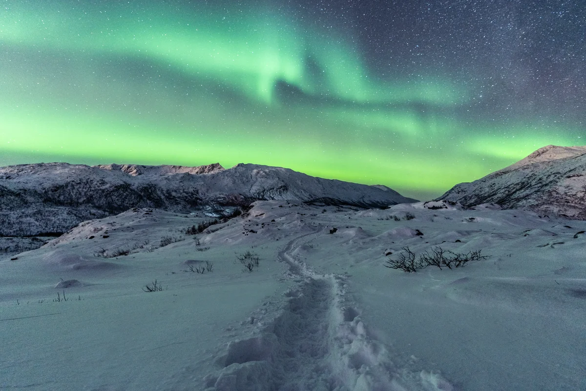 Inari: Northern Ligths Tour by Car (SIC Basis)
