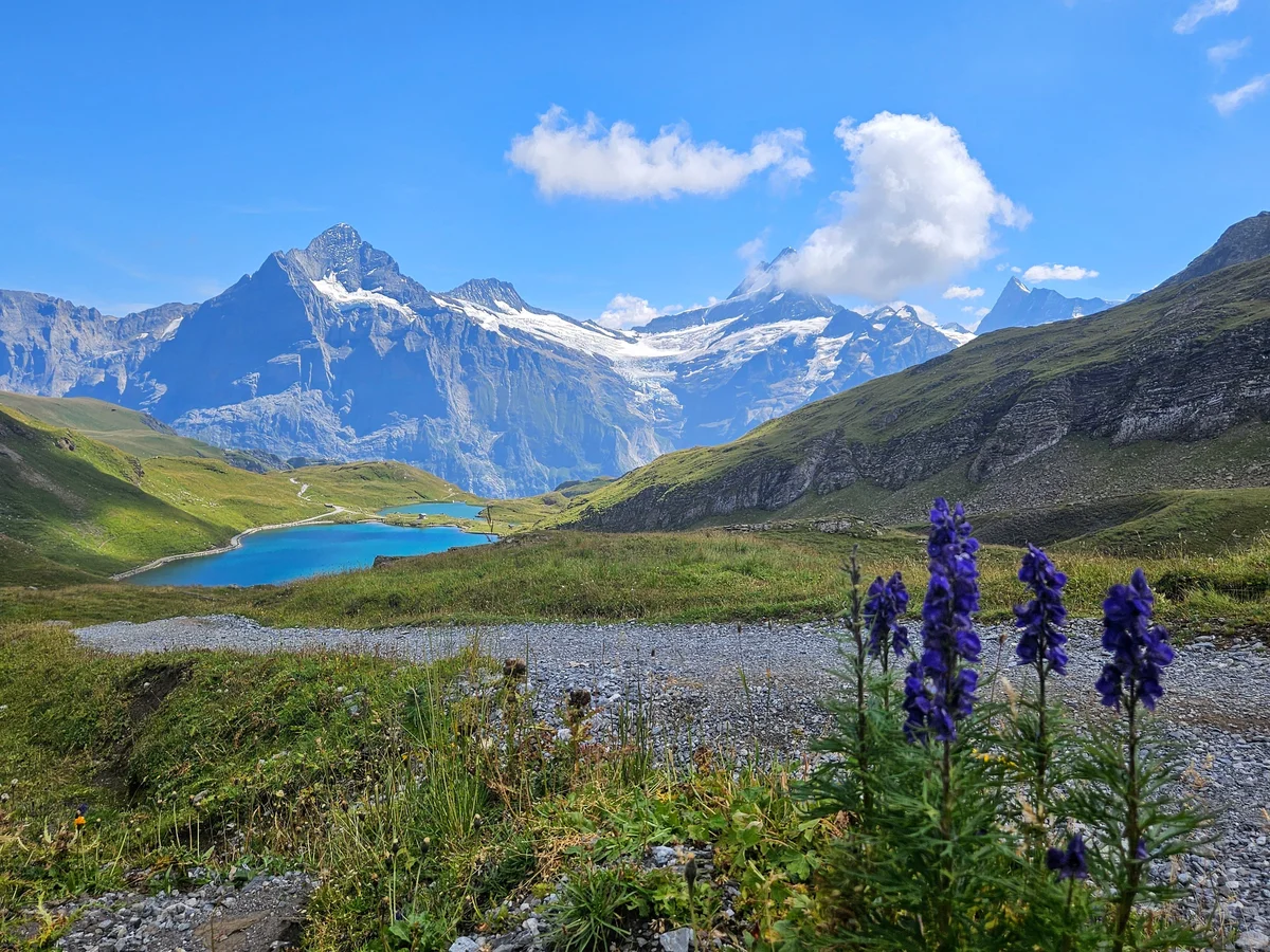 Grindelwald: FunPackage Ticket Pfingstegg (Entrance Ticket)