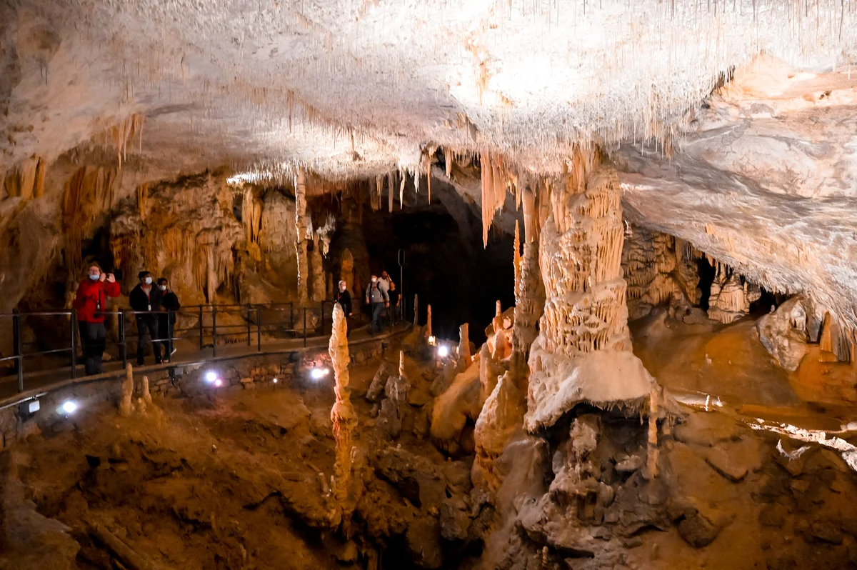 Postojna Cave: Full Park Experience (Entrance Ticket)
