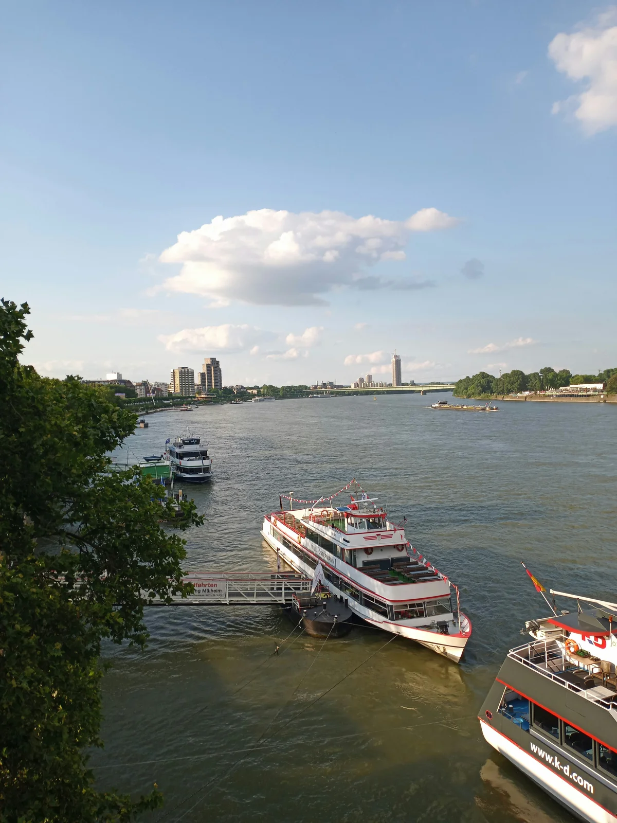 Rhine: Round Trip Cruise - Subject to Availability (Ticket)