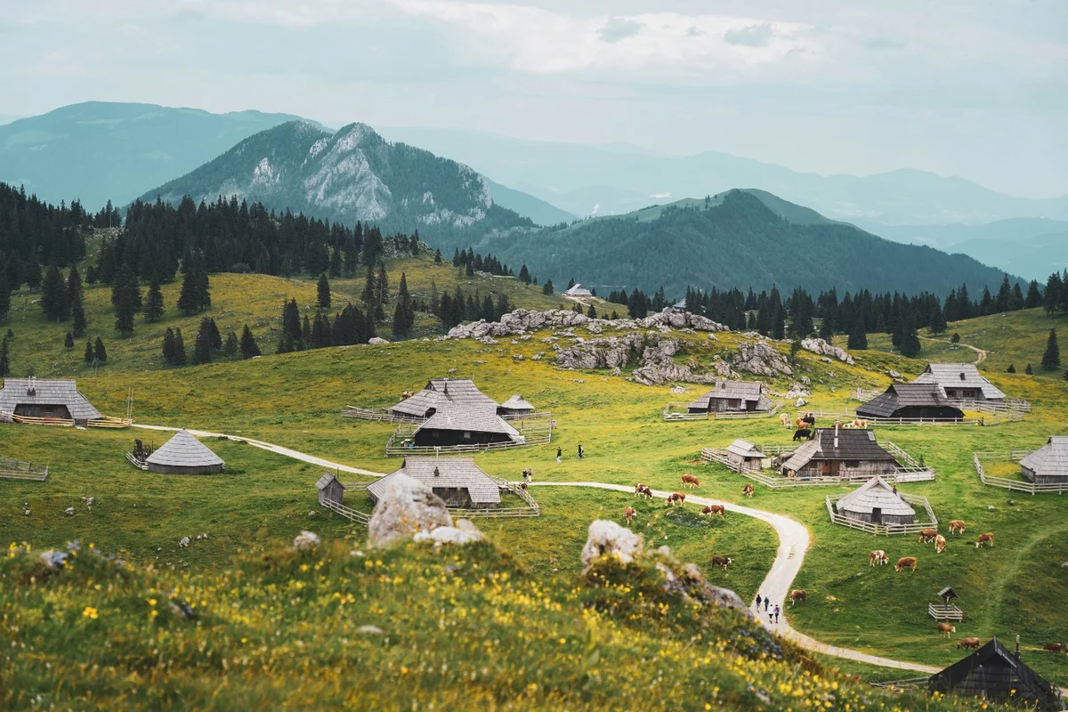 Velika Planina Return ticket cable car + chairlift (Entrance Ticket)