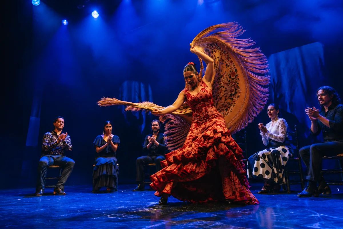 Madrid: Teatro Flamenco Show Ticket - Entrada VIP (Entrance Ticket)
