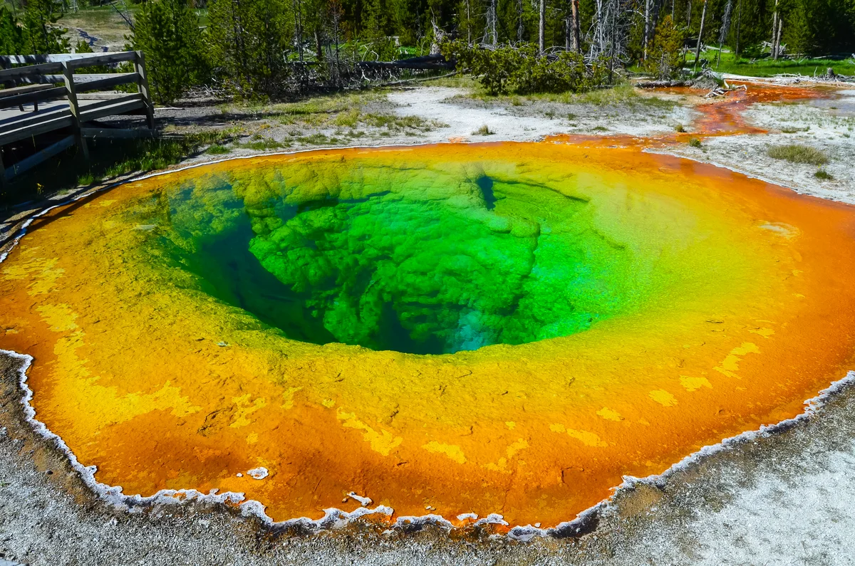 Rotorua: Wai O Tapu & Waimangu Eco Thermal Tour (SIC Basis)