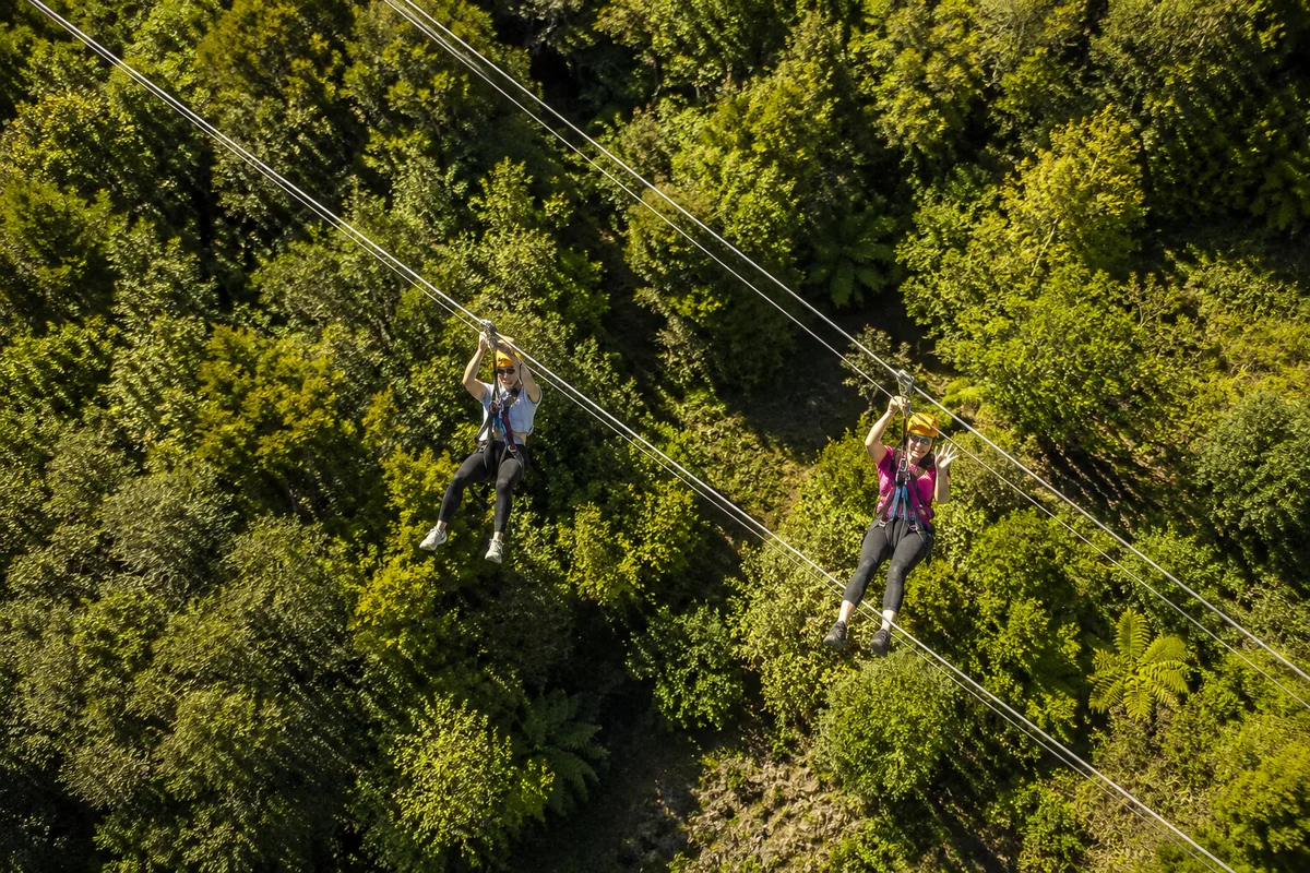 Waiheke Island: Zipline and Native Forest Adventure Tour (Shared Basis)
