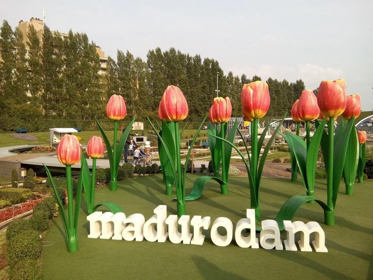 Amsterdam: Rotterdam, Delft and The Hague with Madurodam (SIC Basis)