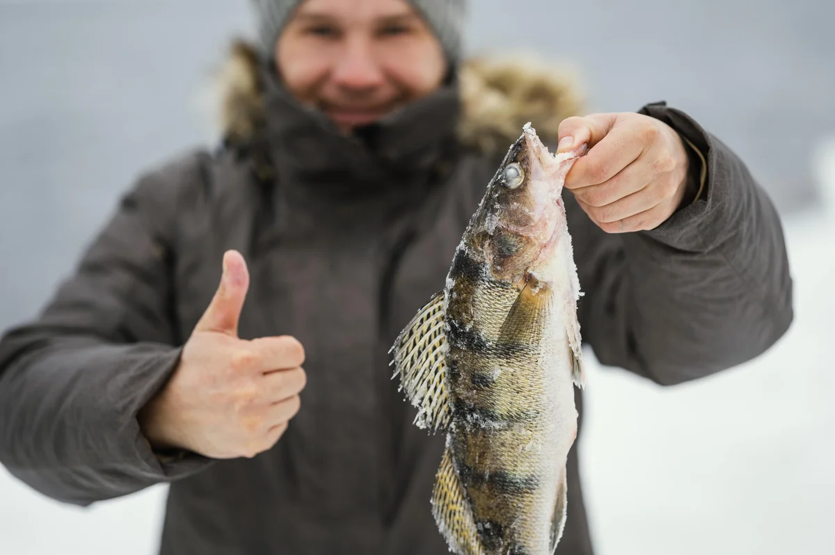 Nuuk: Fishing Tour -  Subject to Availability (Shared Basis)